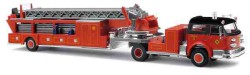 46019