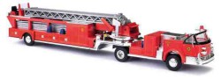 46031