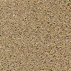 7061