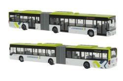 1185001 Connexxion_Citaro_9259 (2)