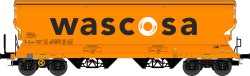 509600.jpg