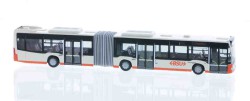 73695.jpg
