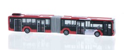 75842.jpg