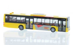73931.jpg