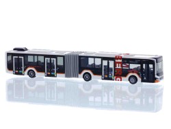 75870.jpg