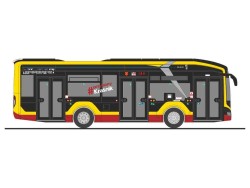 74619