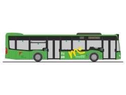 73523